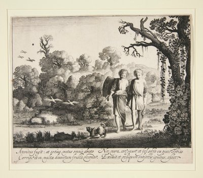 托比亚斯和天使，以及托比亚斯故事中的鱼 作者 Jan van de Velde II