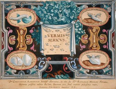 西奥多-加勒（1571-1633）雕刻的《Vermis Sericus》（《蚕》）的封面图（雕刻）。 作者 扬·范德·斯特雷特