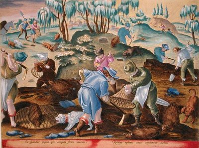 挖掘和捕捉豪猪》，第 54 版 "Venationes Ferarum, Avium, Piscium"（《狩猎：野兽、鸟类、鱼类》），由 Jan Collaert（1566-1628 年）雕刻，阿姆斯特丹的 Phillipus Gallaeus 出版（手工彩色雕版印刷） 作者 Jan van der (1523 1605) (后) 大街