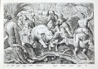 大象被猎人的长矛击中时会发出巨大的噪音，插图来自“Venationes、Ferarum、Avium、Piscium”（狩猎：野兽、鸟类、鱼类），由 Jan Collaert（1566-1628 年）雕刻，酒吧。 作者：Phillipus Gallaeus，阿姆斯特丹（雕刻） 作者 扬·范德 (1523 1605) 大街