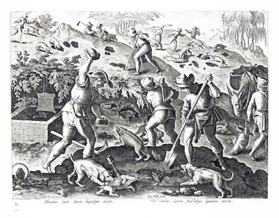 挖掘并捕获獾，插图来自&39;Venationes，Ferarum，Avium，Piscium&39;（狩猎：野兽，鸟类，鱼类），由Jan Collaert（1566-1628）雕刻，酒吧。作者：Phillipus Gallaeus，Ams 作者 扬·范德·斯特雷特