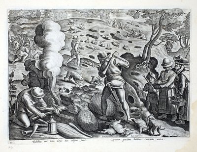 狩猎兔，插图来自&39;Venationes，Ferarum，Avium，Piscium&39;（狩猎：野兽，鸟类，鱼类），由Jan Collaert（1566-1628）雕刻，酒吧。来自阿姆斯特丹的Phillipus Gallaeus 作者 扬·范德·斯特雷特