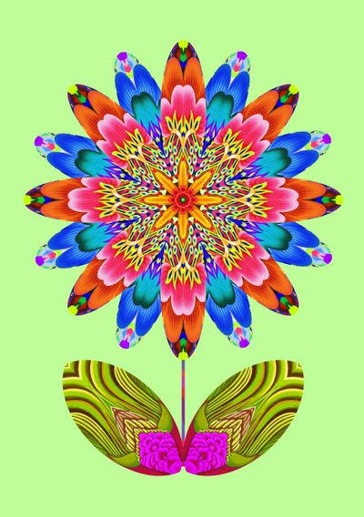Flower cutout on pale green, 2020 作者 简·塔特斯菲尔德