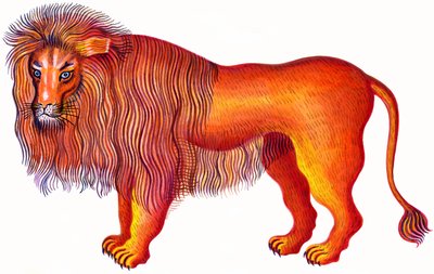 狮子座狮子座，1996年，（墨水和水粉） 作者 Jane Tattersfield