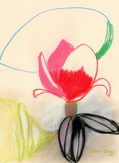 彩色玉兰，约 2021 年（纸上粉彩画） 作者 贾内尔·布拉格