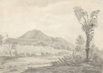 与山和棕榈的爪哇风景 作者 Jannes Theodorus Bik