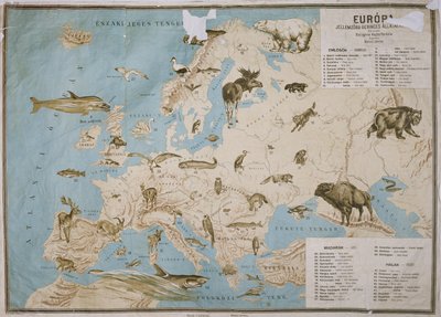 欧洲动物地图，（彩色雕刻） 作者 Janos Balint