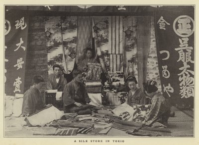 Tokio的丝绸商店 作者 Japanese Photographer