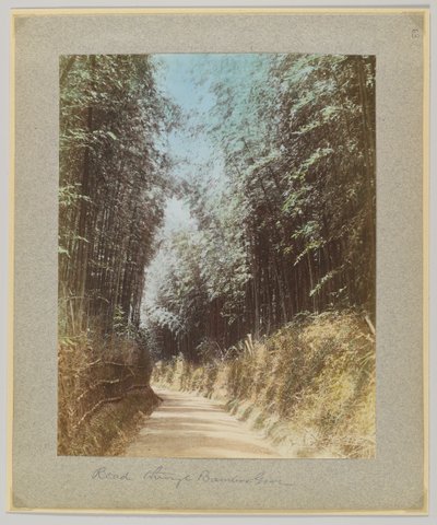 穿过竹林的道路，日本（手绘黑白照片）。 作者 日本摄影师