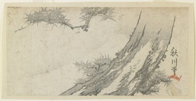 （枫树和富士山），1860年代至70年代 作者 日本学校