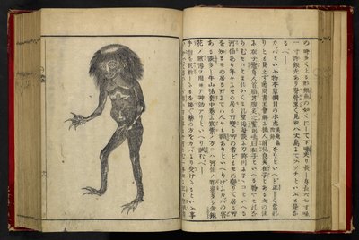 16084.d.15, f.24 A Neneko Kappa，选自 Akamatsu Sōtan 的《Tonegawa Zushi》，1855 年出版（木刻）。 作者 日本学校