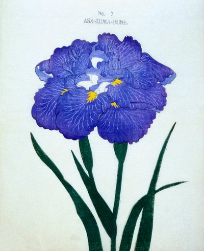 Asa-Zuma-Bune，第7期，1898年 作者 Japanese School