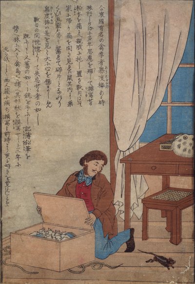 奥杜邦开放他的水箱被挪威老鼠摧毁，c.1872-77 作者 日本学校
