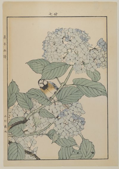 绣球花鸟，明治时期，c.1868-1912（彩色木版画） 作者 日本学校