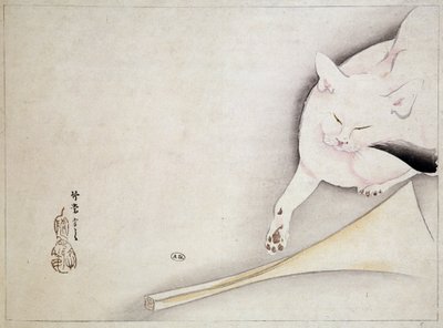 猫，日本绘画，未注明日期 19 世纪。 作者 日本学校