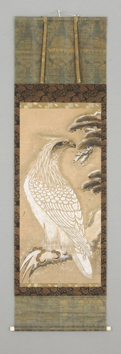 鹰 作者 日本学校