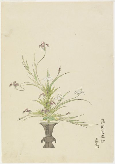 Takada Anritsub的插花？无尽，鸢尾花（手工彩色木版画） 作者 日本学校