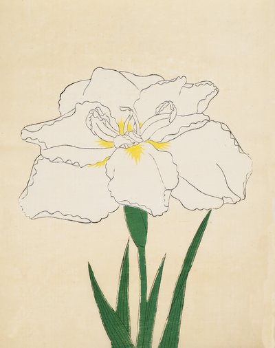 Haku-O-Den，No。40,1890（彩色木版画） 作者 日本学校