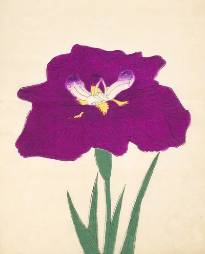 Hizume-no.-Hyoshi，第29期，1898年 作者 日本学校
