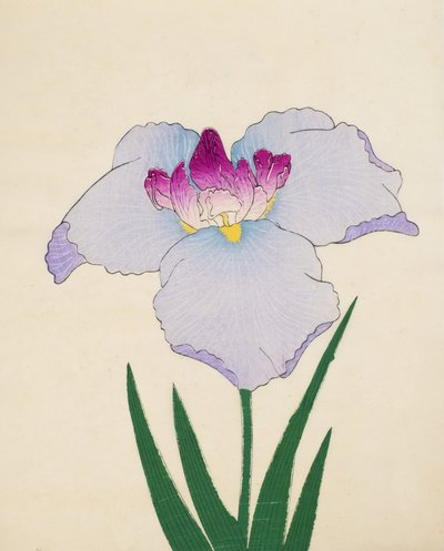 Hoshi-Zukiyo，第45期，1898年 作者 日本学校