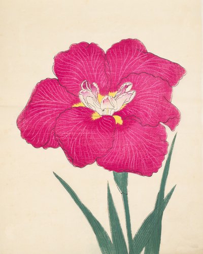 Kagari-Bi，第38期，1890年 作者 日本学校