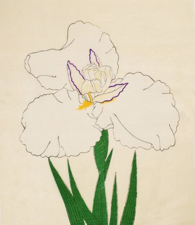 Kamimado-No-Tsuki，No。65,1890（彩色木版画） 作者 日本学校