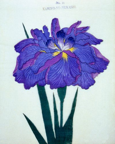Kamiyo-no.-Mukashi，1898年第16期 作者 日本学校