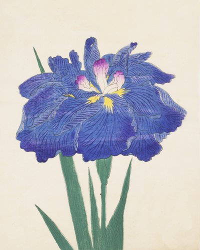 Karako-Asobi，第42期，1898年 作者 日本学校