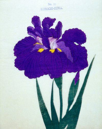 Komochi-Guma no.14,1898 作者 日本学校