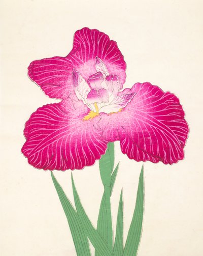 Kyo-Kano.ko，第18期，1898年 作者 日本学校