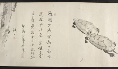 或14872，f.36，两只乌龟，出自吉田清斋（手卷） 作者 日本学校