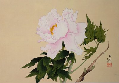 牡丹，酒吧。 1950年 作者 日本学校