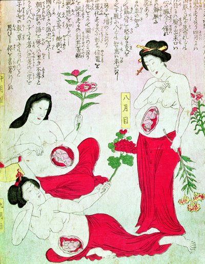 孕妇，1881年 作者 日本学校