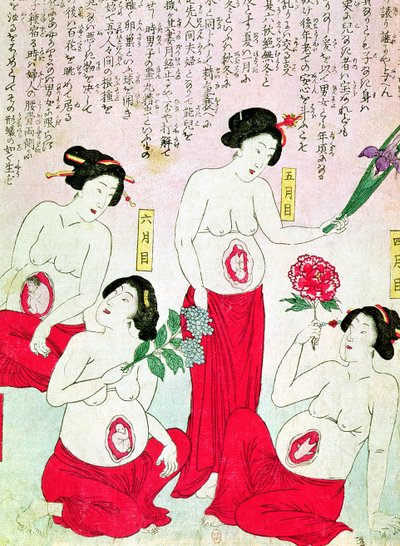 孕妇，1881年 作者 日本学校