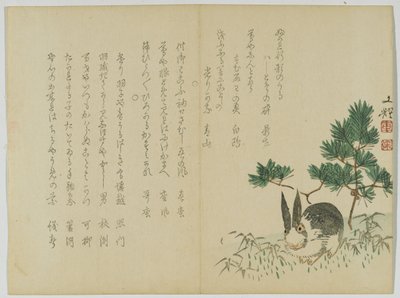 新年松下的兔子，1860年（木版画） 作者 日本学校
