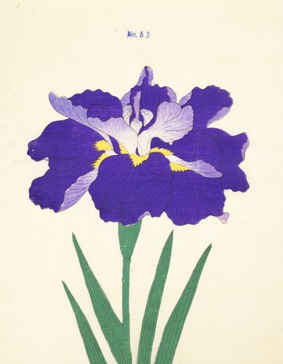 Saiwoga-Uma，No。53,1890（彩色木版画） 作者 日本学校