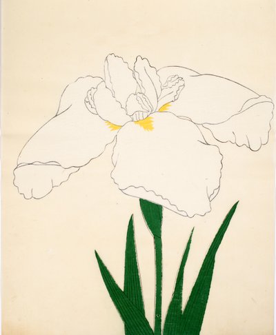 Tsuru-No-Kegoromo，No。33,1890（彩色木版画） 作者 日本学校