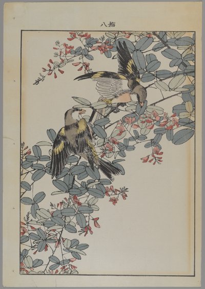 两只粉红色的花，明治时期，c.1868-1912（彩色木版画） 作者 日本学校