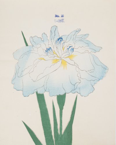 U-Chu，第18期，1898年 作者 日本学校