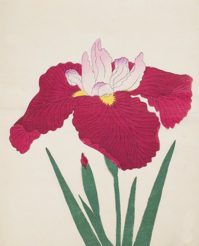 Yamamatayama，No。83,1890（彩色木版画） 作者 日本学校