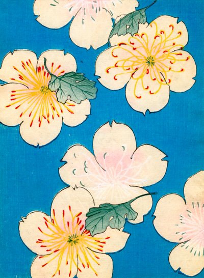 山茱萸花的彩色木版画 作者 日本学校
