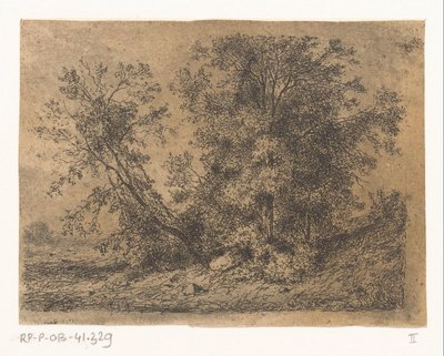 树地 作者 让·亚历克西斯·阿查德