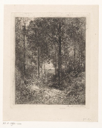 森林景观 作者 让·亚历克西斯·阿查德