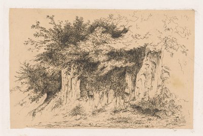 土丘上的灌木 作者 让·亚历克西斯·阿查德