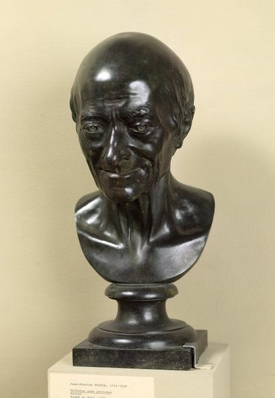 伏尔泰半身像（1694-1778）1778（铜牌） 作者 Jean-Antoine Houdon