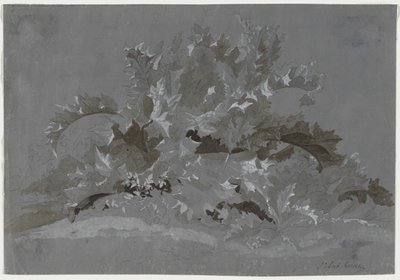 杂草研究 作者 Jean Antoine Linck