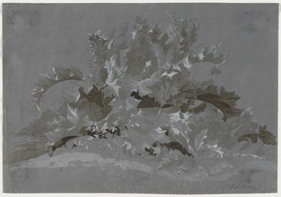 杂草研究，1800年至1850年。 作者 让·安托万·林克