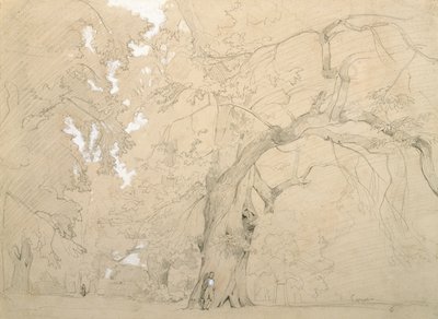 一棵大橡树前的年轻人，约 1840 年（纸上铅笔和水粉） 作者 让·巴蒂斯特·卡米尔·科罗