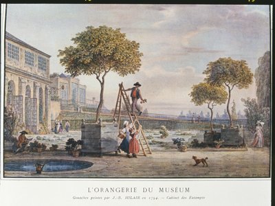 1794年在巴黎博物馆的橘园 作者 让·巴蒂斯特·希勒（Jean Baptiste Hilair）