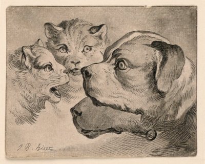 猫和狗的头 作者 Jean Baptiste Huet